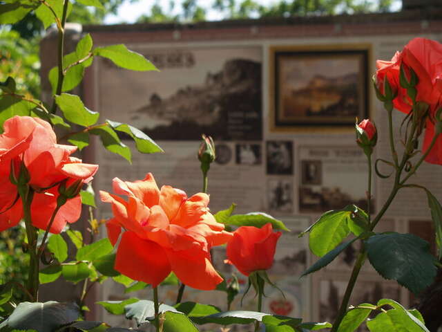 Гостевой дом Капри Симеиз-15